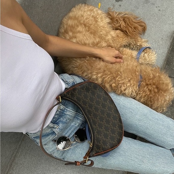 Small Ava Half Moon Crescent Bag in Triomphe Canvas and Calfskin in Tan - Picture 12 of 14